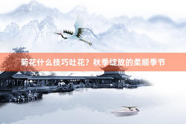 菊花什么技巧吐花？秋季绽放的柔顺季节