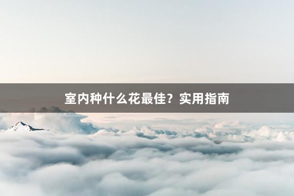 室内种什么花最佳？实用指南